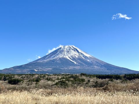 【12/2より】「助成金なう」Web広告掲載のご提案【月間600万PV突破】