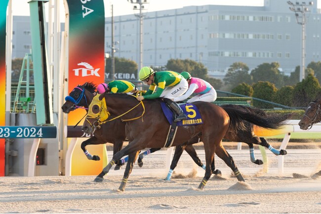 12月29日（日）は今年最後のGIレース「東京大賞典」！フジテレビ系列4局での生中継が決定！
