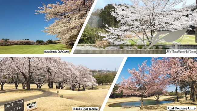 【埼玉 4ゴルフ場】でお花見気分　ゴルフ場で“桜”満喫のラウンド体験を！！
