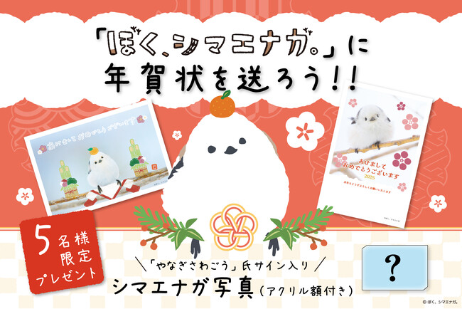 【ぼく、シマエナガ。へ年賀状を送ろう！】キャンペーンを開始します。抽選でシマエナガを撮り続ける写真家「やなぎさわごう」氏の直筆サイン入り写真（アクリル額付き）が当たる！