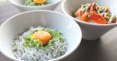 大人気の釜揚げしらす丼、サーモンとアボカドのしらす丼、生しらす丼のイメージ 大人気の釜揚げしらす丼、サーモンとアボカドのしらす丼、生しらす丼のイメージ