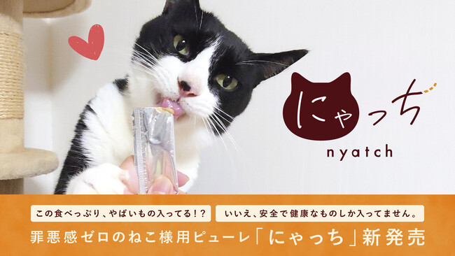 【猫用新商品】この食べっぷり、やばいもの入ってる!?いいえ、安全で健康なものしか入ってません。罪悪感ゼロのねこ様用ピューレ「にゃっち」新発売