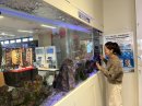 学園創立50周年記念館1階の展示水槽 学園創立50周年記念館1階の展示水槽