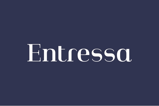 自分らしい起業を目指す女性のためのオンラインサロン『Entressa（アントレッサ）』が事前説明会を開催