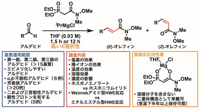 有機合成において重要なトランスアルケンを効率的に与えるHorner-Wadsworth-Emmons反応を開発 ～薬理活性を持つ化合物の大量生産に一歩前進～