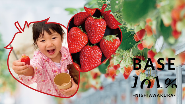 『イチゴの日＝１月５日』に、 いちご狩りがスタート。予約受付を開始。