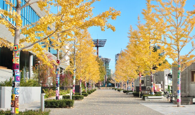 としま編んでつなぐまちアート2024 フィナーレを飾る展示が池袋エリア6か所で公開開始 ～池袋に愛着を持つ人々と紡いできた4年間～