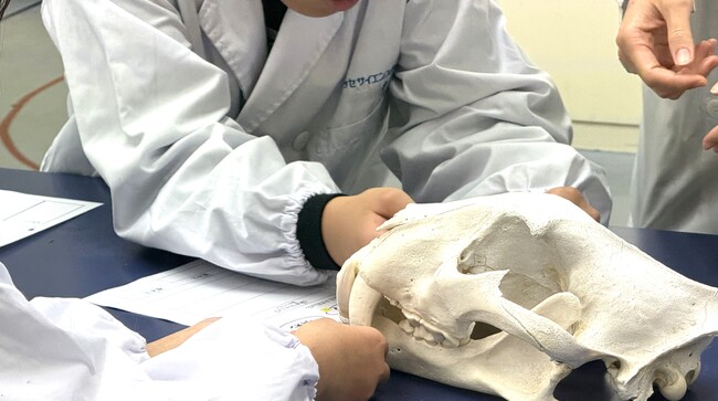 冬休みは動物博士に！ ベネッセサイエンス教室がアドベンチャーワールドとのスペシャル講座を開催