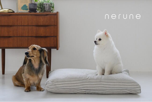 ペットに極上の眠りを。「nerune (ネルネ）」ブランドショップオープン！