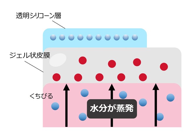 唇の上で色素を含むジェル層と透明層に分離して色持続・つや・なめらかさを叶える口紅の処方を確立