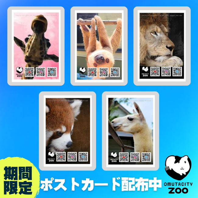 【福岡県大牟田市】大牟田市動物園オリジナルポストカード期間限定無料配布開始！