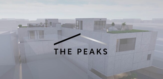 「THE PEAKS」タクシー広告にて放映開始！