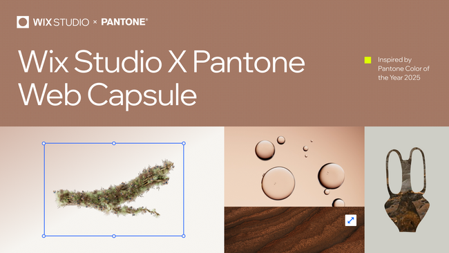 Wix Studio、Pantone と提携した「2025年 カラー・オブ・ザ・イヤー Web カプセルコレクション」を発表