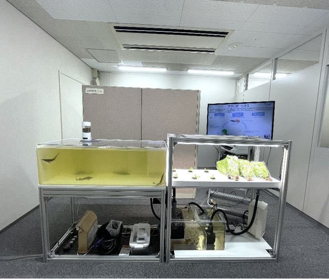 【株式会社プラントフォーム】NTT東日本新潟支店にアクアポニックス設備を導入