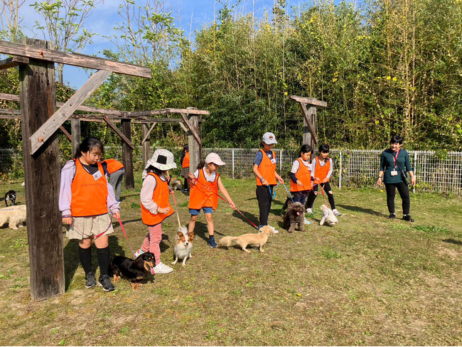 【1/11出発】 20名限定!救助犬トレーナー体験スクール