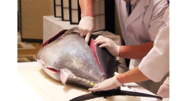 <1月24日開催>【Premium Buffet 極 -KIWAMI-】第8弾 日本料理「鮪 解体ショー」 <1月24日開催>【Premium Buffet 極 -KIWAMI-】第8弾 日本料理「鮪 解体ショー」