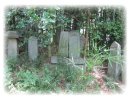 「墓じまい」前のお墓
