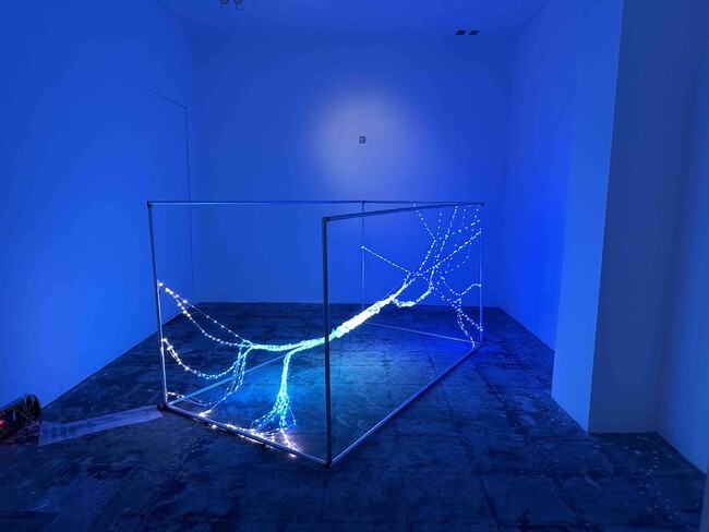 クラウドット株式会社、デジタルアート展示「Asynchronous-Opus:)」を開催
