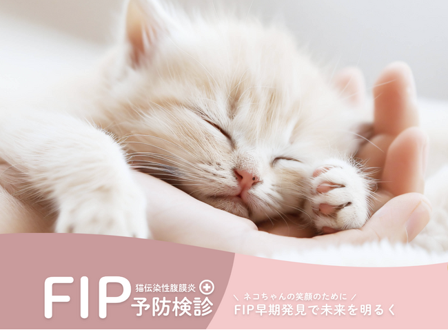 ペッツファーストグループ｜ペッツファースト動物病院にて「FIP（猫伝染性腹膜炎）予防検診」開始のお知らせ