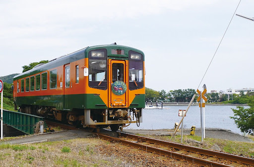【期間限定】天竜浜名湖鉄道に「アマモ駅」が誕生！「アマモ列車」に乗って学べる「天浜線アマモ探検ツアー」を開催します