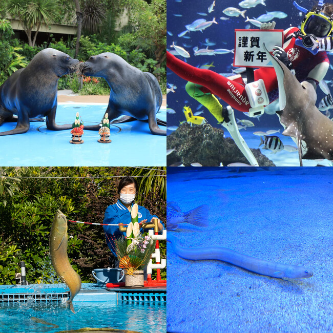サンシャイン水族館のお正月2025*2025年1月1日（水・祝）～1月7日（火）*12月26日（木）～12月31日（火）には「大掃除」をテーマにした“お掃除をする生き物”が登場！*