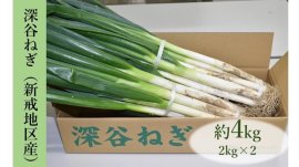 埼玉県産「深谷ねぎ」 埼玉県産「深谷ねぎ」