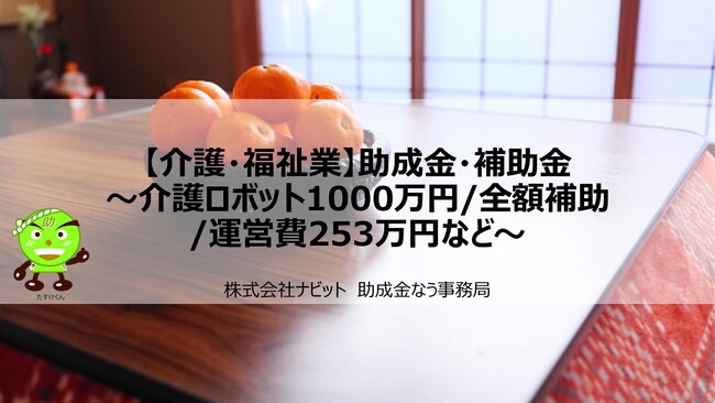 【12/12より】「【介護・福祉業】助成金・補助金～介護ロボット1000万円/全額補助/運営費253万円など～」の販売を開始しました【助成金なう】
