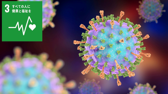 グアニン四重鎖構造を持つRNAがおたふくかぜウイルスのRNA合成の場を提供する――おたふくかぜウイルスの封入体形成機構の理解――