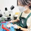 ながやん(修理スタッフ) ながやん(修理スタッフ)