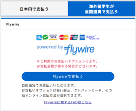 支払者サイト(Flywireの選択画面) 支払者サイト(Flywireの選択画面)