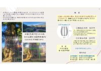 樹体内に永代供養ができる新サービス「樹木葬[樹体内永代供養]」令和7年1月1日提供開始