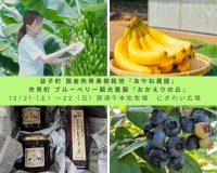 無農薬ブルーベリーと1本1,000円最高級バナナのコラボ！
那須千本松牧場で味わう栃木の恵み　畑のマルシェでメリークリスマス！