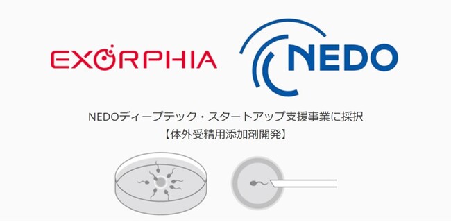 株式会社EXORPHIA、NEDO「ディープテック・スタートアップ支援事業」に採択