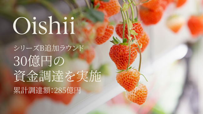 Oishii Farm、シリーズB追加ラウンドで30億円の資金調達を実施 ～累計調達額は285億円に～