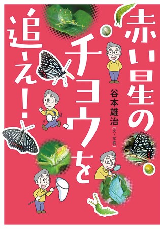 生きもののふしぎ発見！　文研出版より『赤い星のチョウを追え！』を発売！