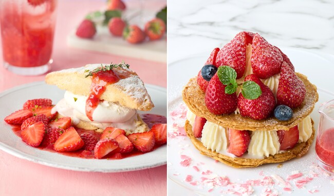 【Afternoon Tea】新作「苺と塩キャラメルのスコーンショートケーキ」が登場！