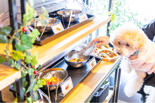 【新サービス＆無料キャンペーン】愛犬専用ビュッフェサービス「ワンビュッフェ」提供開始！さらに2月末まで限定で無料提供キャンペーン実施～ドッグヴィラ千葉南房総