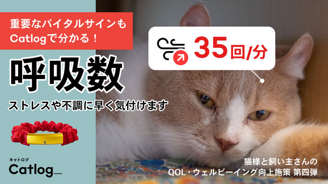 猫様のストレスや体調不良にいち早く気づくことができる「安静時呼吸数」機能がスマート猫首輪Catlog(R)（キャトログ）へ追加！