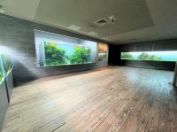 【すみだ水族館】閉館後の水族館で人気エリア「自然水景」を体験
2種類の「特別プログラム体験福袋」を数量限定販売