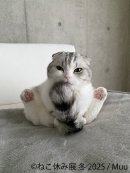 展示作品2 展示作品2