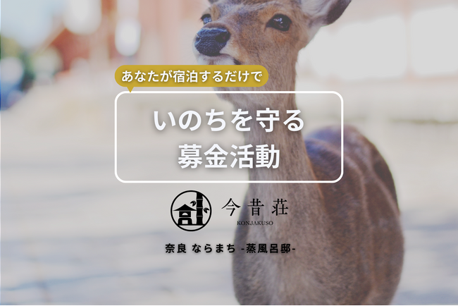 奈良の魅力を伝える民泊「今昔荘」、売上の一部を奈良公園の鹿保護へ寄付　～「宿泊で鹿を守る」特別プランの販売を開始～