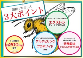 プロポリスポイント プロポリスポイント