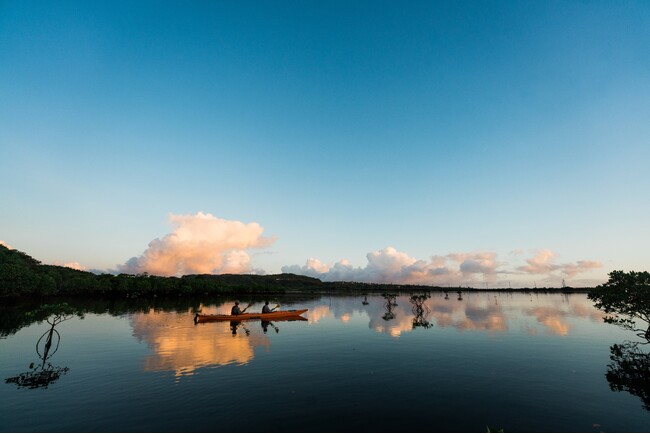 【星野リゾート　西表島ホテル】世界自然遺産・西表島で早朝の静寂な空間を堪能する「朝凪マングローブカヤック」開催