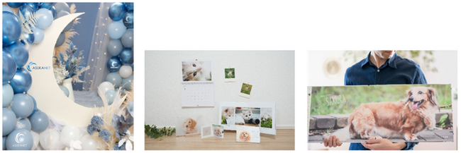 【国内最大級のペット総合イベント】ペットと家族の絆を深める体験型イベント「Pet博2025横浜」アスカネットが初出展！～ペット写真を未来に残す新しい思い出づくりを提案～