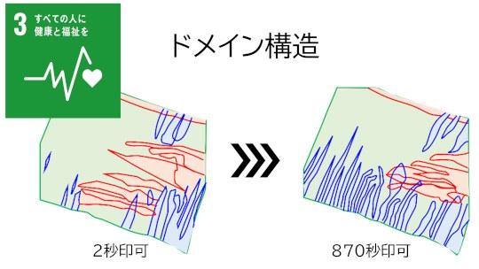 世界初!エコー診断用圧電単結晶におけるナノドメインの交流電圧応答を直接可視化