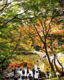 小石川後楽園 小石川後楽園