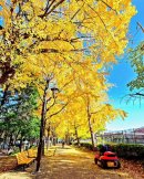 城北中央公園 城北中央公園