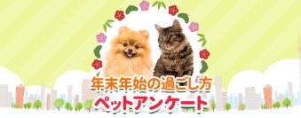 ペット保険比較のピクシー、ペットとの年末年始の過ごし方と2025年の目標を調査　「ペットと自宅で過ごす」人が約9割