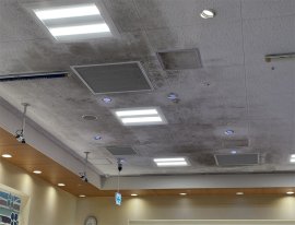 スーパーマーケットの天井に発生したカビ スーパーマーケットの天井に発生したカビ