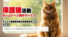 保護猫活動のを支援するホームページ制作サービスを開始 保護猫活動のを支援するホームページ制作サービスを開始